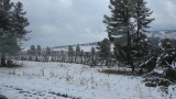 Midden Siberie. Altai gebergte.