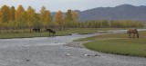 Khovd: riviertje.