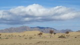 Mogul Els: Zandduinen