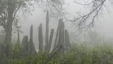 Stonehenge van Laos.