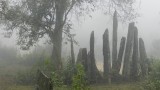 Stonehenge van Laos.