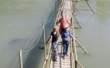 LP: Toine, Fern & Harry op de bamboebrug