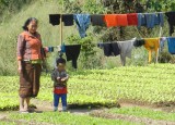 LP: Vrouw in moestuin