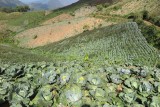 Mae Hong Son loop