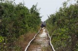 Battambang: bamboetrein