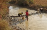 Battambang: vissertjes