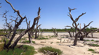 Zoutmeer