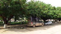 Alguira