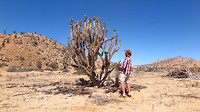 Cactus met cowboy