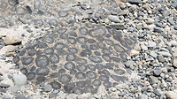 Merkwaardige minerale afzetting in basalt
