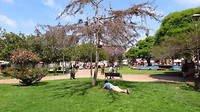 La Serena. Groene oase