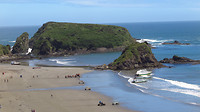 Pinquin strand