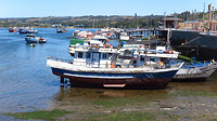 Haven Castro