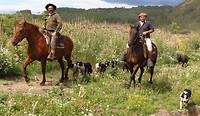 Gaucho's