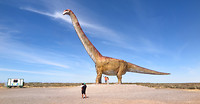 Grootste dino ooit