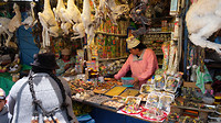 De heksenmarkt (ook verkoop lama foetussen en bevroren kalfjes)