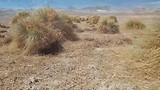 Landschappen van de Andes