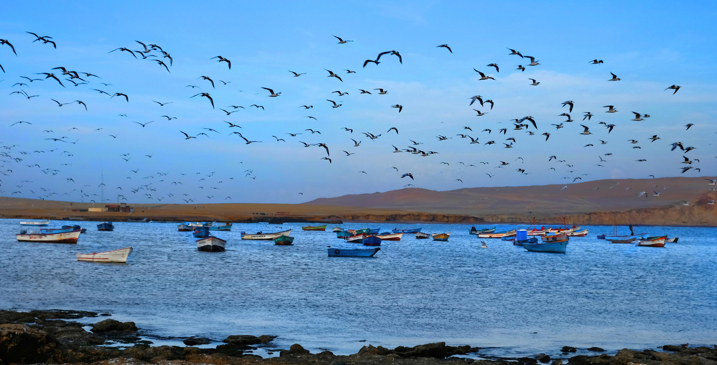Paracas