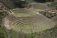 Moray