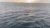 Galapagos deel 1