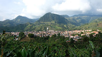 Jarden