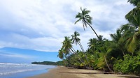 Palmstrand