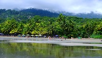 Strand en jungle