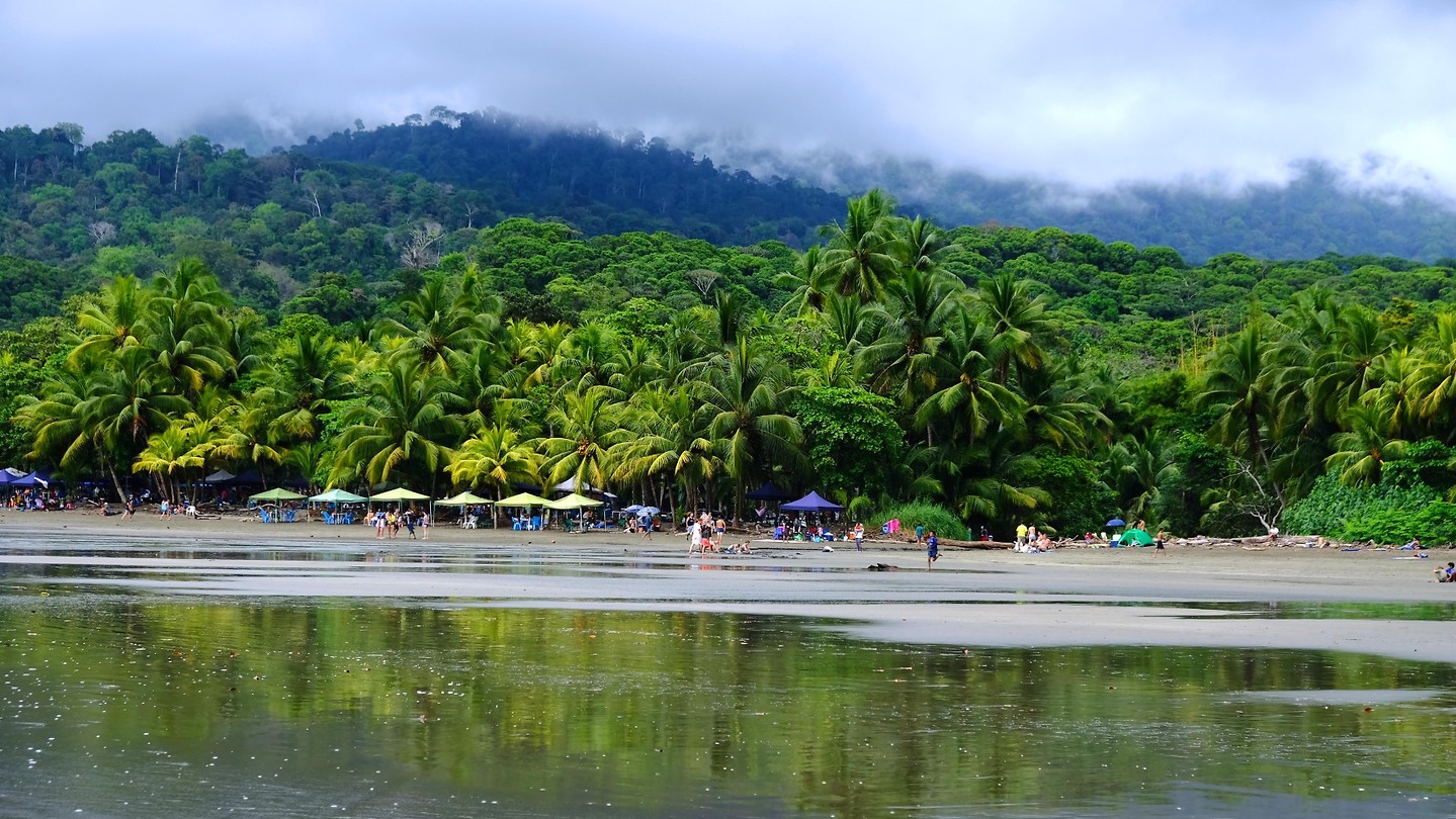 Strand en jungle