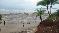 Tropisch strand