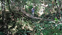 Tocht door de jungle