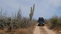 California Baja