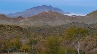 California Baja