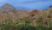 California Baja
