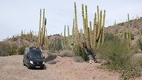California Baja