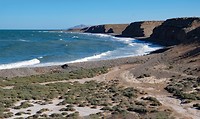 California Baja