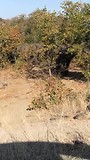 VID_20170614_143317