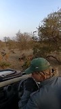 Hyena's