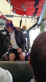 De Duck Tour