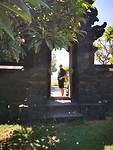Har op wacht bij de tempel