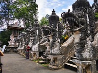 Drakenkoppen bij de tempel
