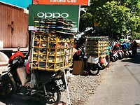 Dit keer twee scooters met kuikentjes.