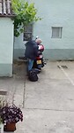 Har zijn dagelijkse taak :-)