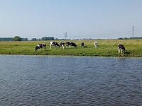 Genoeg te zien onderweg.