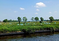 Er word door de boeren ook nog gewerkt.