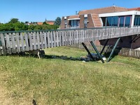 De schapen zoeken verkoeling 🐑🐑