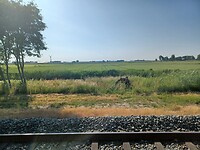 Station Workum. Mooi uitzicht.