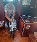 Uit de krochten van de Forever komt de vouwfiets boven water.