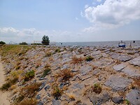 Zicht op het strand en IJsselmeer.