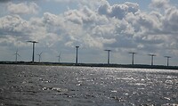 In de Flevopolder heel veel windmolens