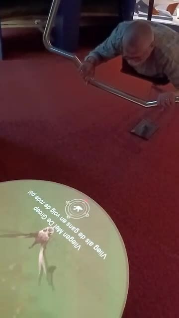 Vliegen met ganzen 😂😂